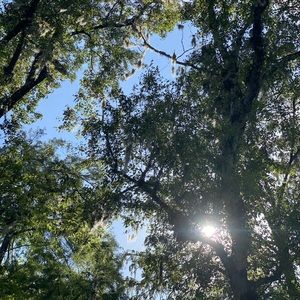 Meet your Posher, Gabby